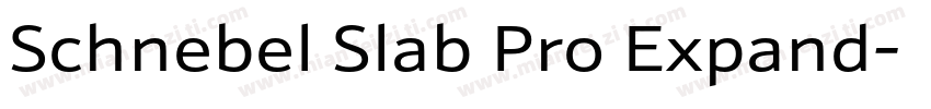 Schnebel Slab Pro Expand字体转换